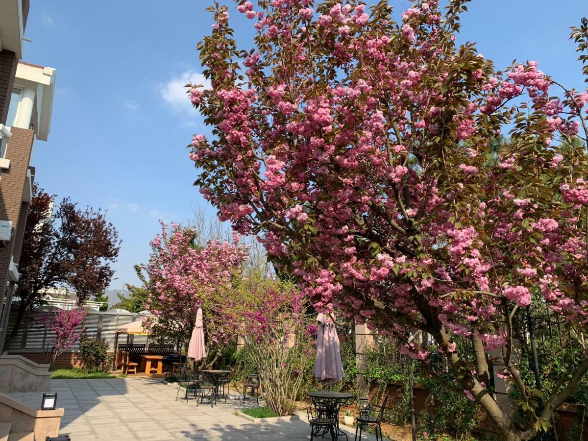 Floral Hotel - Begonia Villa Циндао Экстерьер фото