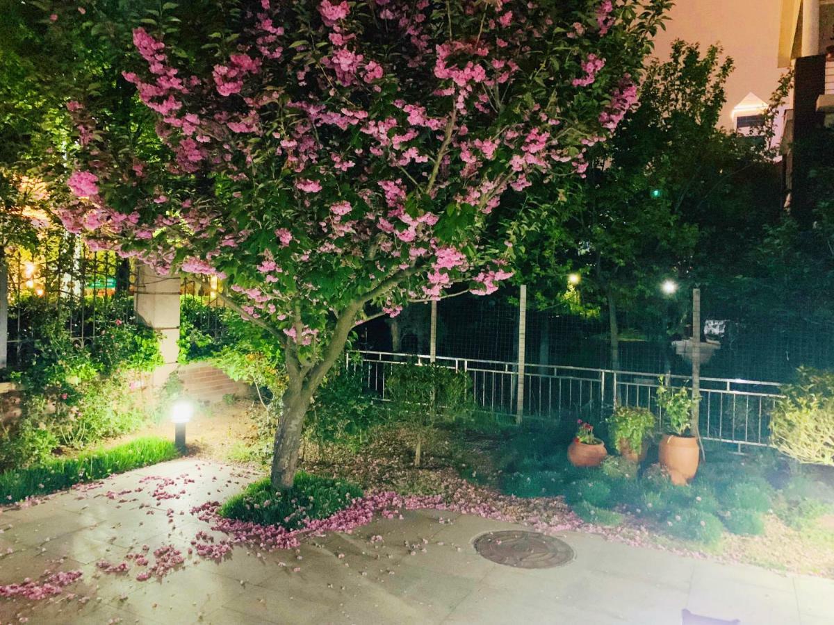 Floral Hotel - Begonia Villa Циндао Экстерьер фото