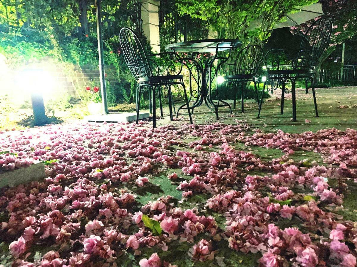 Floral Hotel - Begonia Villa Циндао Экстерьер фото